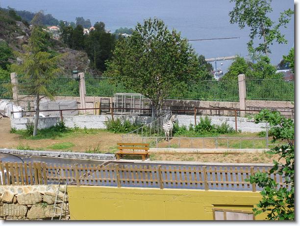 Diapositiva siguiente